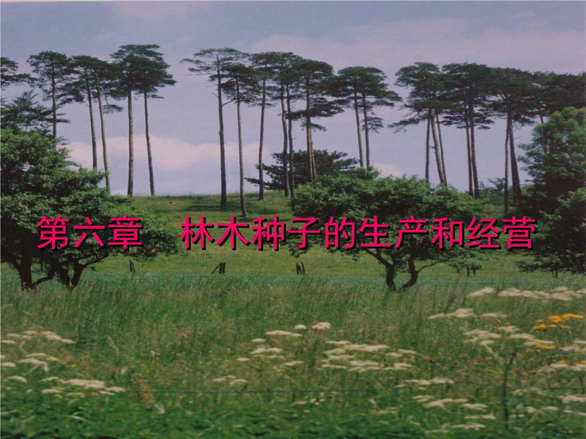 第六章林木种子的生产和经营 .pptx